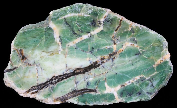 Polished Green-White Opal Slab - Western Australia #65402